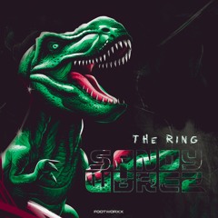 SANDY WAREZ - THE RING - FWXXDIGI121