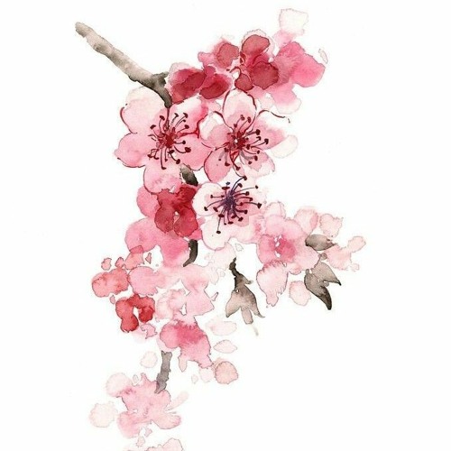 꽃이 지려나 봐 (prod. chuck_alter_91)