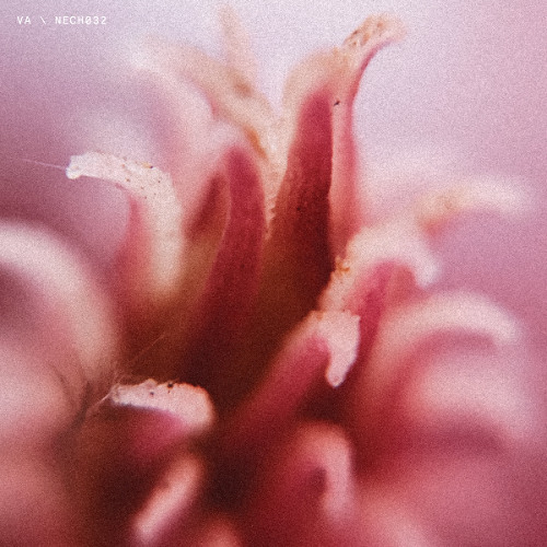 PREMIERE | Unspent - Mood Gorning [NECHTO]