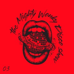 The Mighty Wonky Disco Show - 03