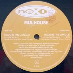 mulhouse - rave in the jungle 8-6
