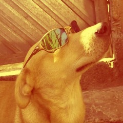 Sequência caramelo x I don't speak german (mayifii mashup)