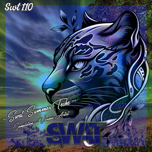 Swat Rec 110 // Swat Summer Tech (VVAA) // 13-06-2025