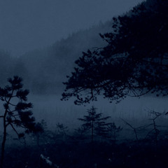 VII