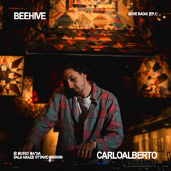 BHVE RADIO EP.1 / @MUSEO MA*GA - SALA "ARAZZI" OTTAVIO MISSONI / CARLOALBERTO