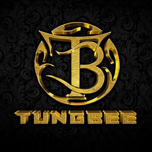 CÓ LẼ ANH CHƯA TỪNG -TÙNG BEE FT NGUYEN HOANG REMIX