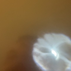 icey clean - riq - dandan