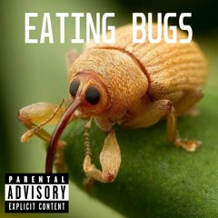 Eating Bugs
