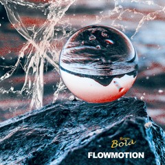 Flowmotion