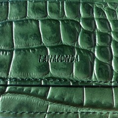 화나 FANA - FANACONDA Full Album