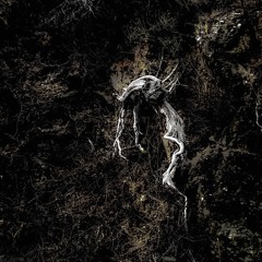 Torkhya - Umbral Craving