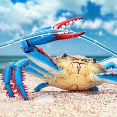 Crab - Beat