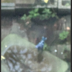 okay one last flip before we rebrand