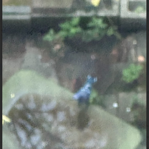 okay one last flip before we rebrand