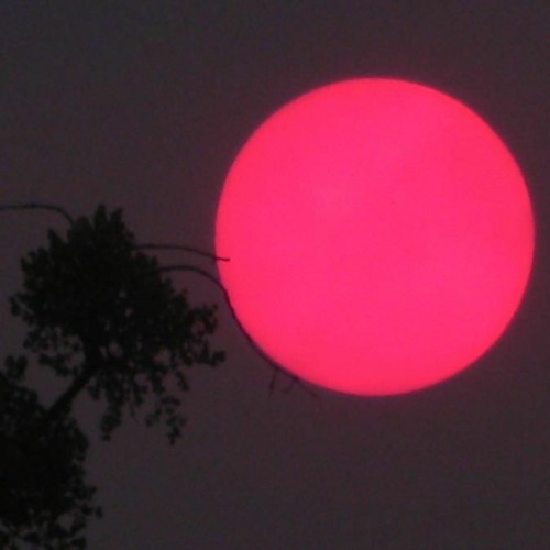 Sun Goes Up