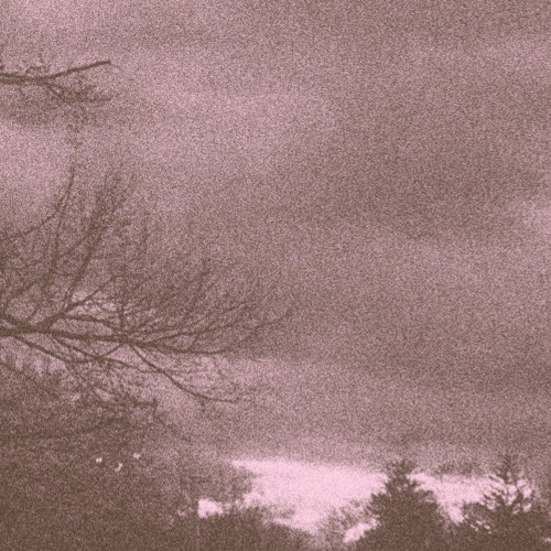 BUTTERFLY GIRL / YOUR JUDGEMENT