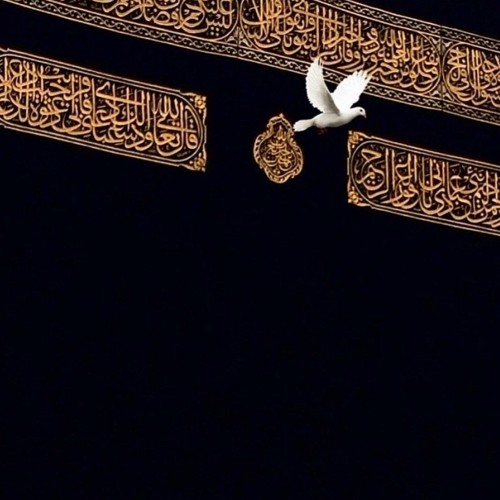 يامادحاً خير الأنام  🤍