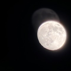 “EX” (REUPLOADED)