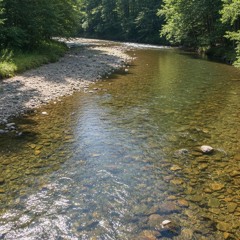 What Should I Do Mississippi?