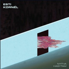 Esti Kornél - Utánad