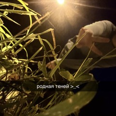 моя родная теней