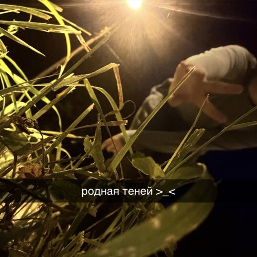 моя родная теней