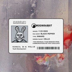RABBIT RADIO: VIRGIL – FALL 2023