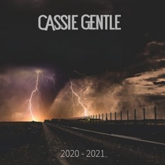 2020 - 2021