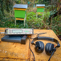 Resonating Bees