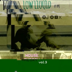 LOW LIQUID - HOUSE THEORY VOL3 (dj mix)