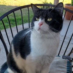 tired of being tired