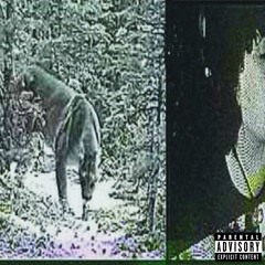 #PrettyBitchess (prod.sinvets)