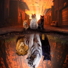 FREE DOWNLOAD - Chilling Now (Original Mix) Wav