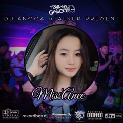 DJ ANGGA STALKER • INSTRUMENT BOXER X SALAH MU SENDIRI (NEW 2024) _SPECIAL REQUEST MISS ANNE_
