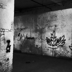 P!nN@kFr3estYL3 Ft. ARYAN