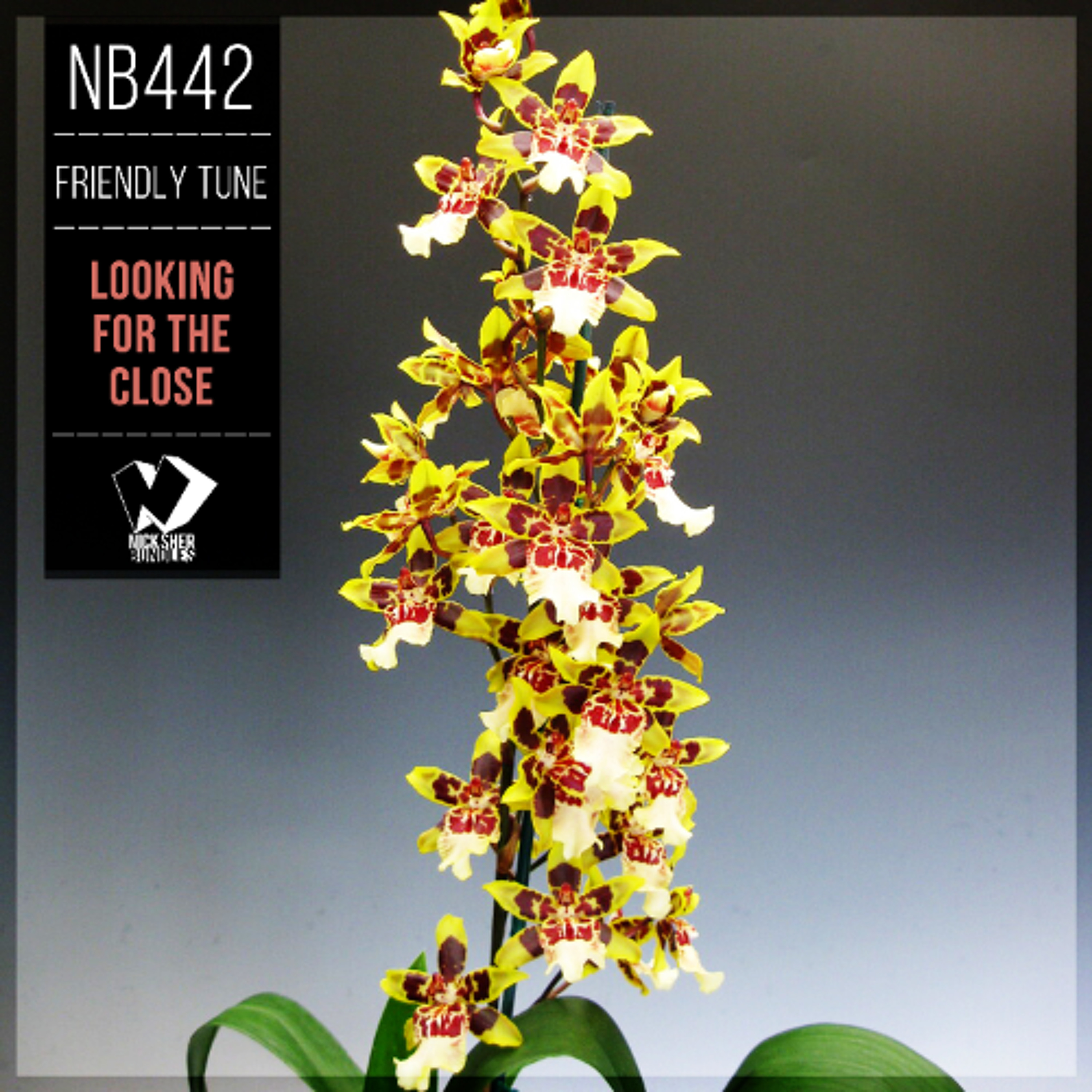 Friendly Tune - Looking for the Close (Original Mix) episode artwork