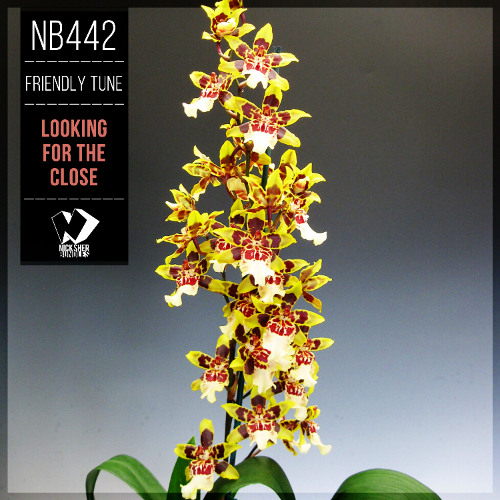 Friendly Tune - Some Time (Original Mix)