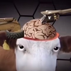 Your so perfect i might kill you