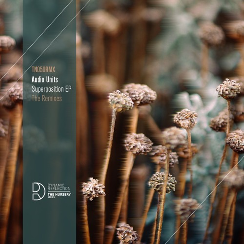 Audio Units - Ancient Manifold (Declod Remix)