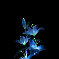 PARTYNEXTDOOR  - MAKE IT TO THE MORNING _ MELODIC RNB