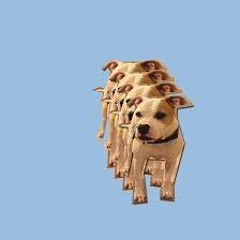 Missy, My First Car (Missy Elliot vs Vulfpeck)