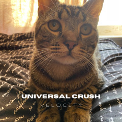 Universal Crush - Free