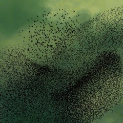 GrooveCast Vol.3