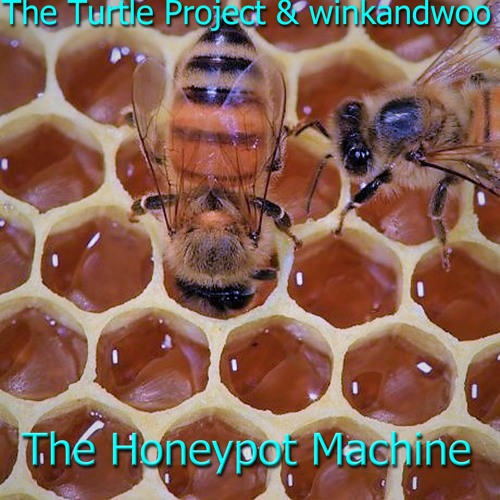 The Honeypot Machine - The Turtle Project & winkandwoo