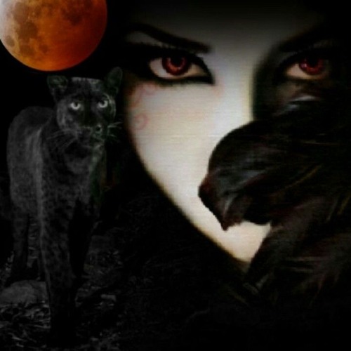 <+•Kilolit•+>Want From Me #Nightmare
