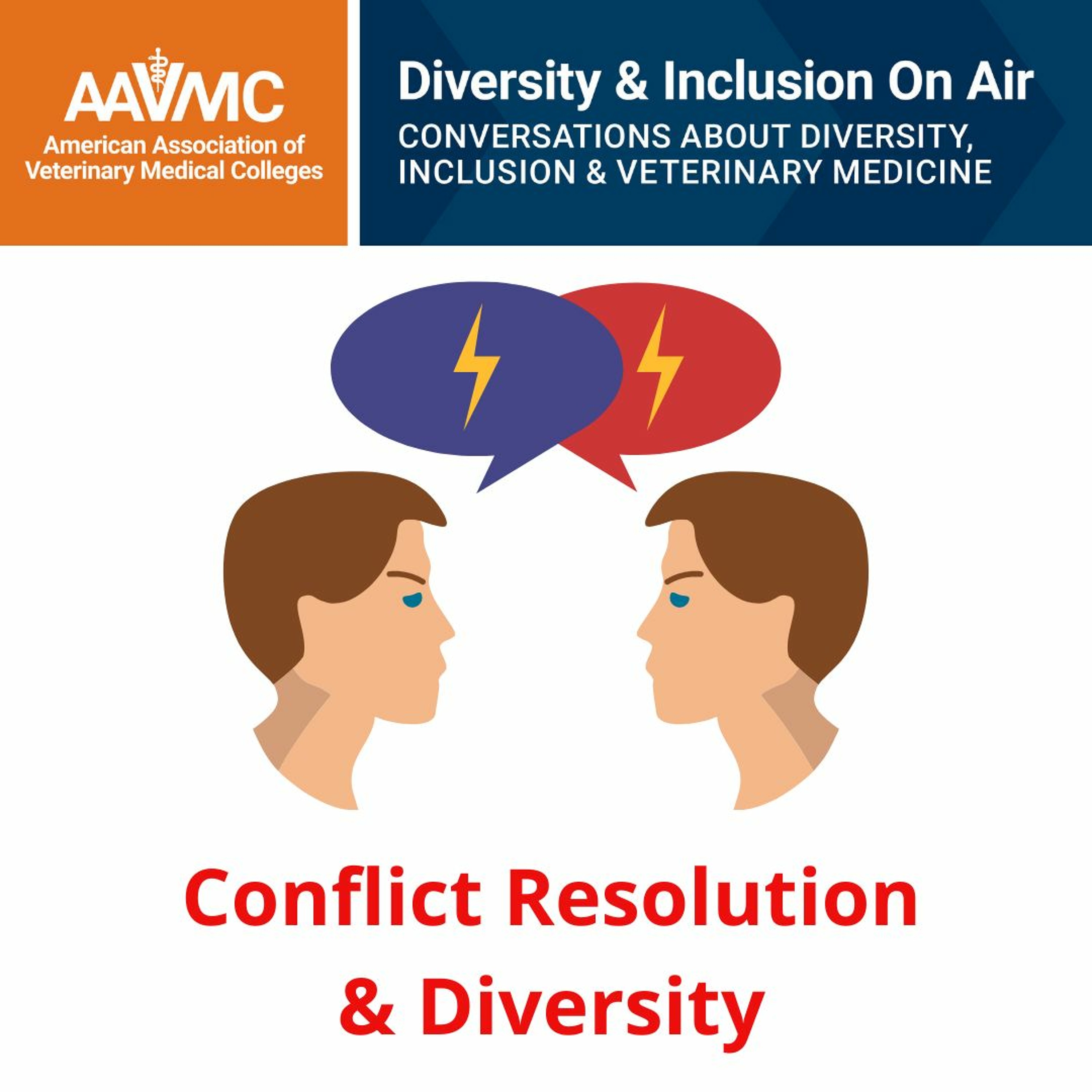 AAVMC\'s On Air: Conversations about Issues in Veterinary Medicine
