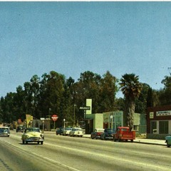 1954