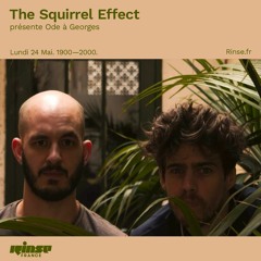 The Squirrel Effect Present : Ode A Georges - Rinse 24 mai 2021