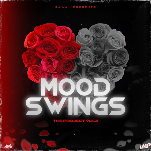 DJ LJ - MOOD SWINGS THE PROJECT VOL.2