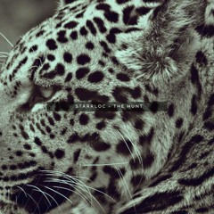 The Hunt (prod. Haake)